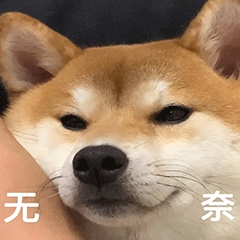 sticker-test2