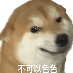 柴犬