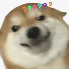 柴犬