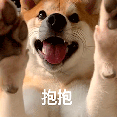 柴犬